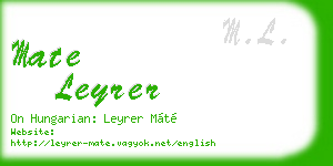 mate leyrer business card