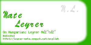 mate leyrer business card